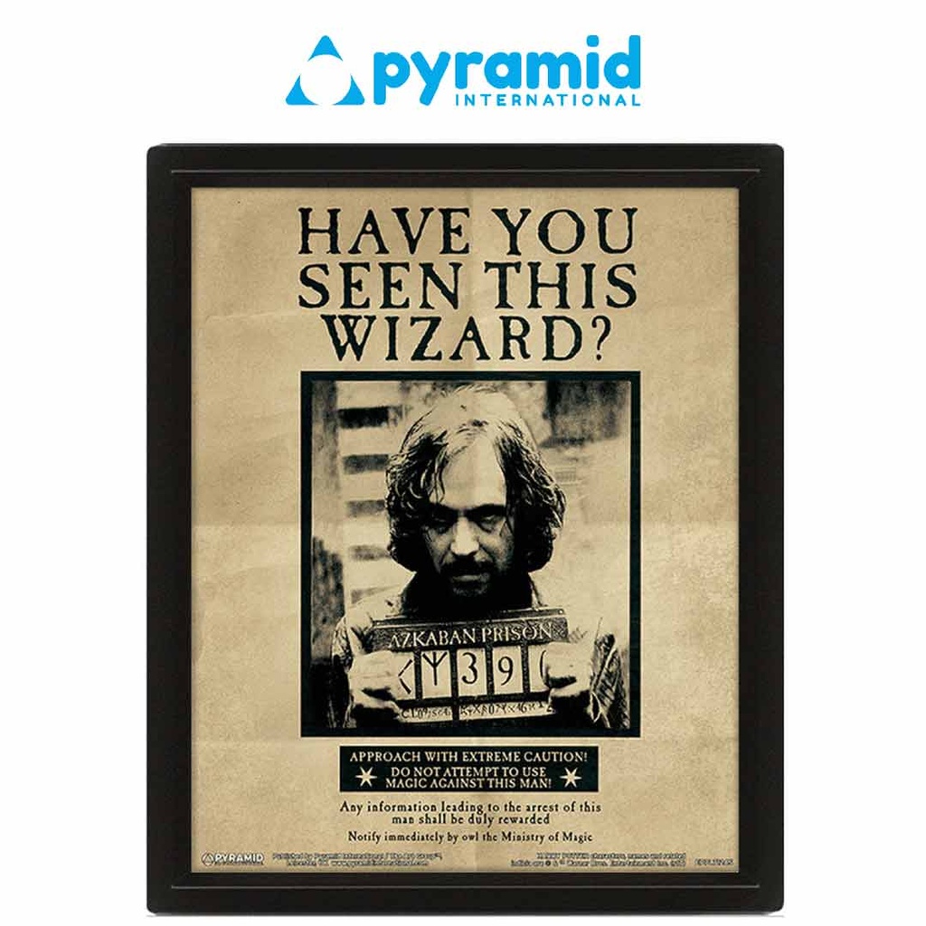 Pyramid - Harry Potter (Potter Sirius) Framed 10X8 3D