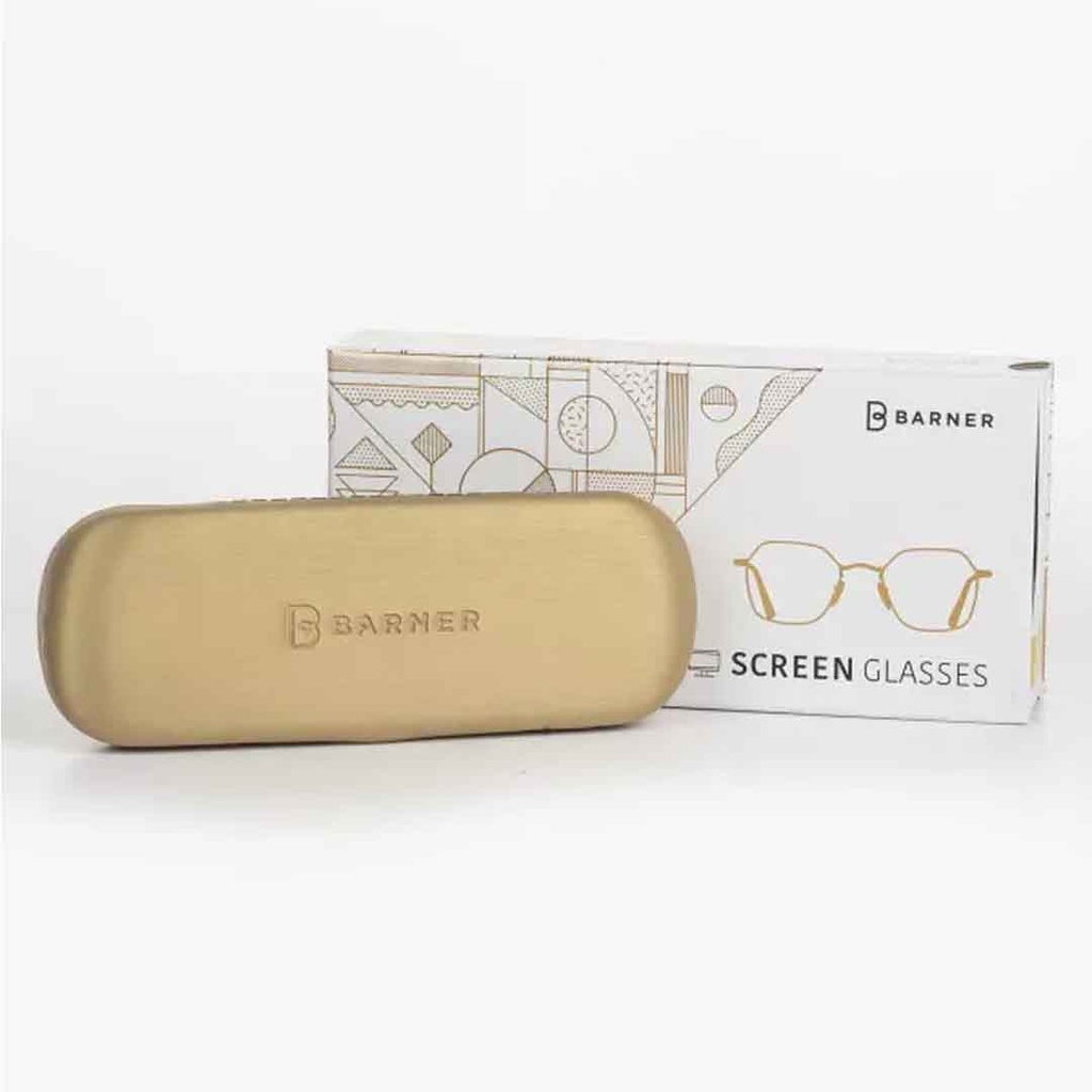 Barner Eye Wear Trastevere Steel Grey