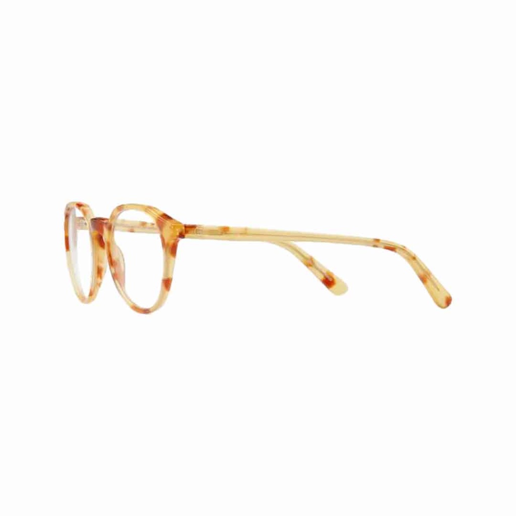 Barner Eye Wear Williams burgLight Havana