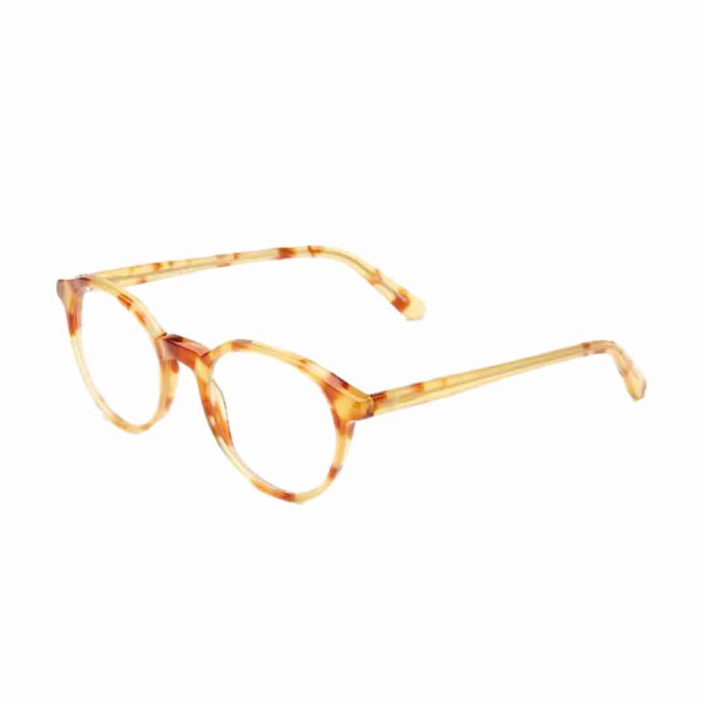 Barner Eye Wear Williams burgLight Havana