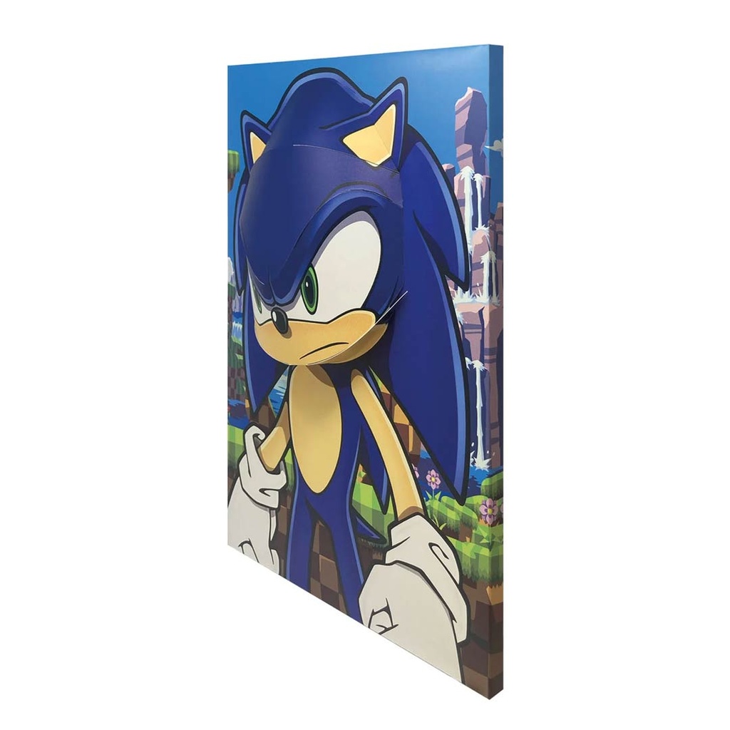 Pyramid-Sonic The Hedgehog Green Hill Zone 3D Poster Popheads