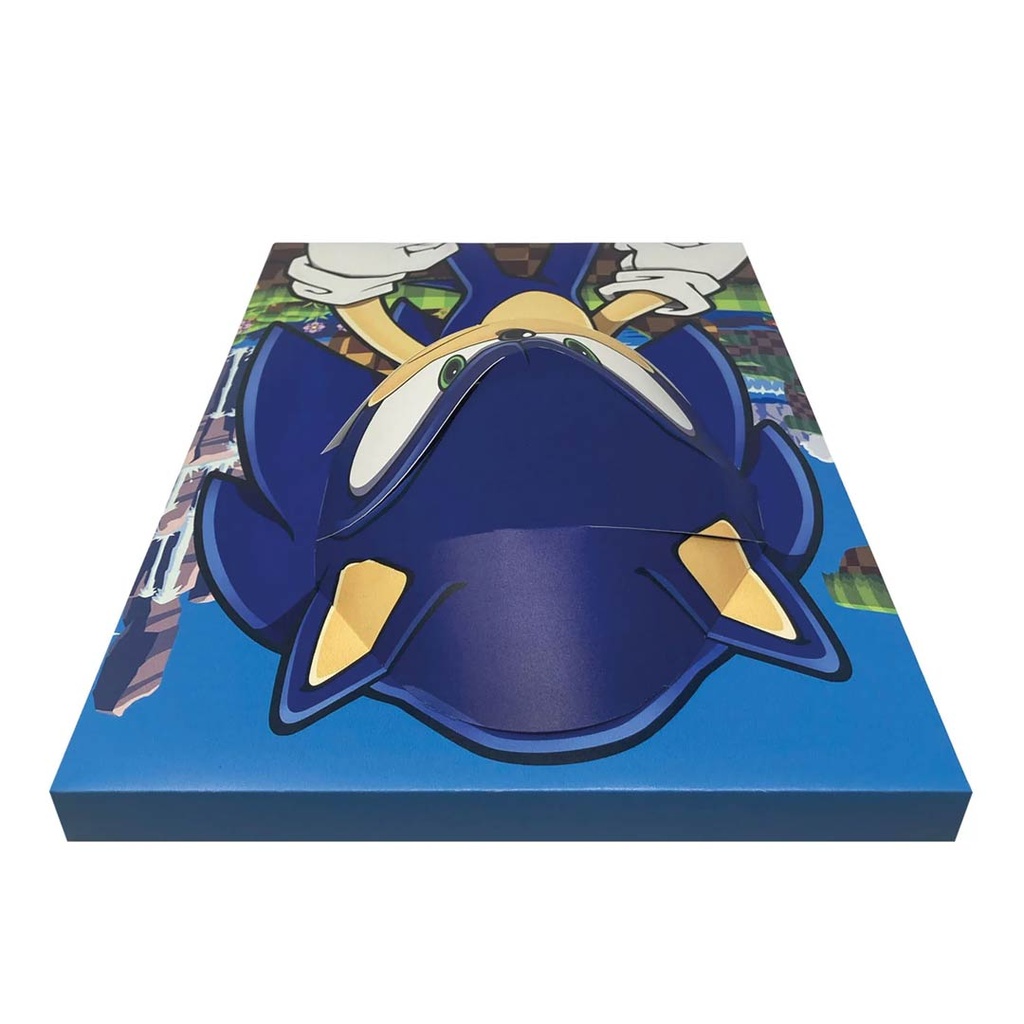 Pyramid-Sonic The Hedgehog Green Hill Zone 3D Poster Popheads