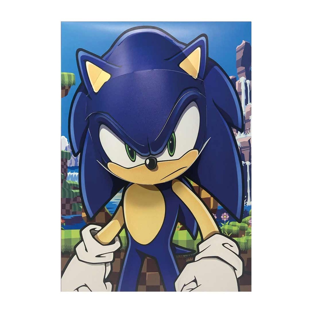 Pyramid-Sonic The Hedgehog Green Hill Zone 3D Poster Popheads