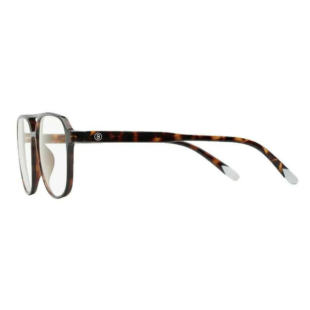 Barner Brad Tortoise Eyewear