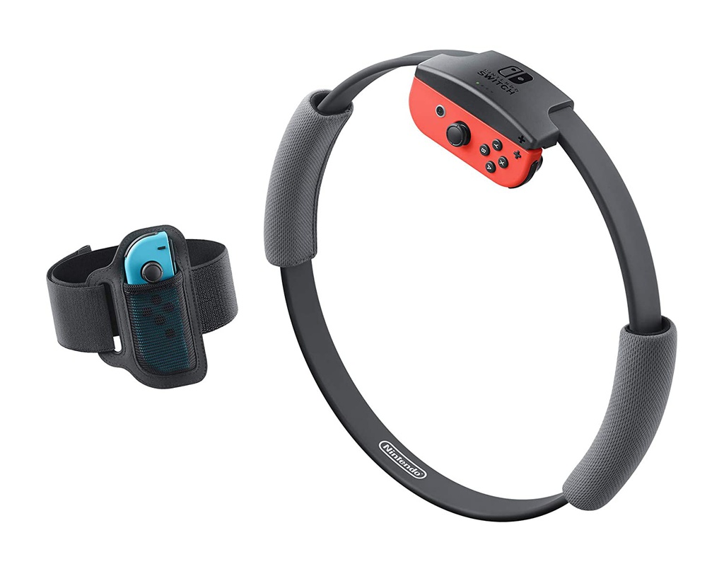 NS Ring Fit Adventure Pal