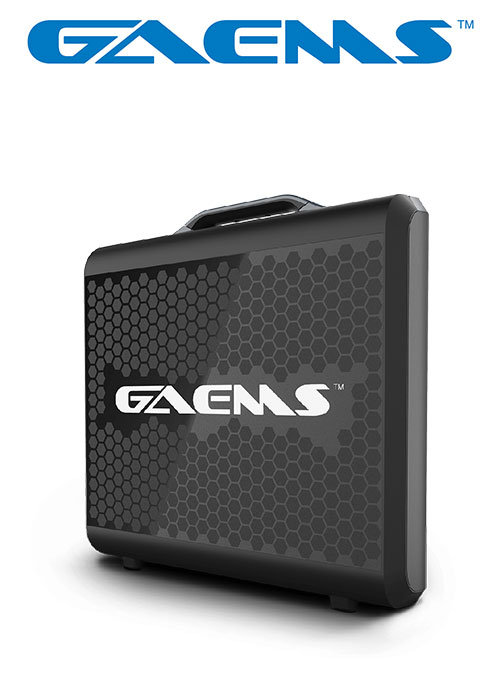 G170 Sentinel Performance Gaming Monitor Full HD 1080P (GAEMS)