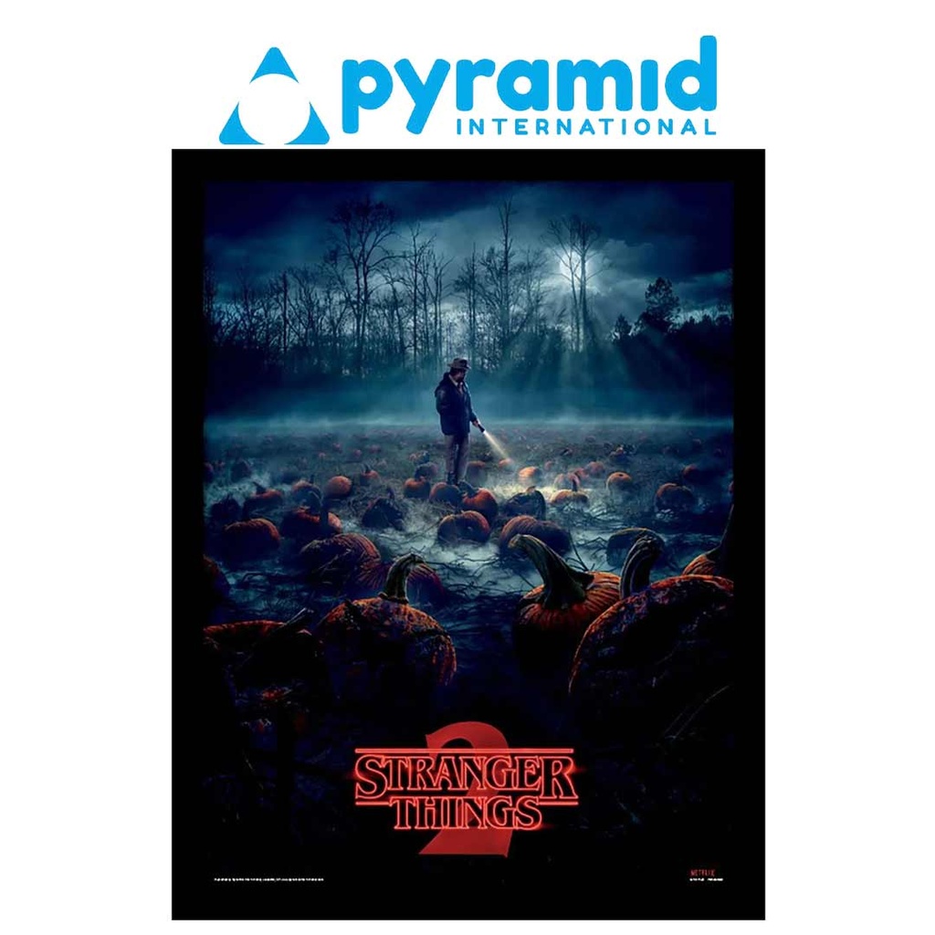 Pyramid - Stranger Things Pumpkin Patch (Wooden Frame)