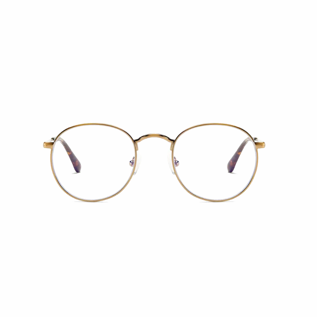 Barner Eye Wear Recoleta Gold Matte