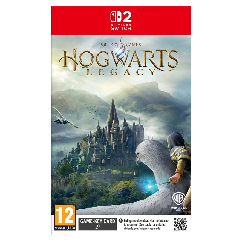 NS2 Hogwarts Legacy PAL