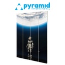 Pyramid - NICEBLEED (REFLECTION) SMALL WOOD