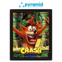 Pyramid - Dele - Crash Bandicoot (Mask Power Up) - Framed