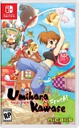 NS Umihara Kawase Fresh NTSC
