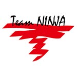 Team Ninja