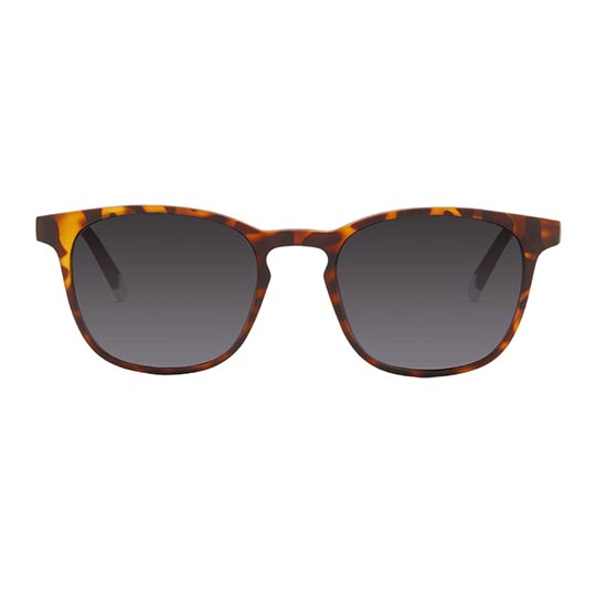 Barner Dalston Tortoise Sunglass