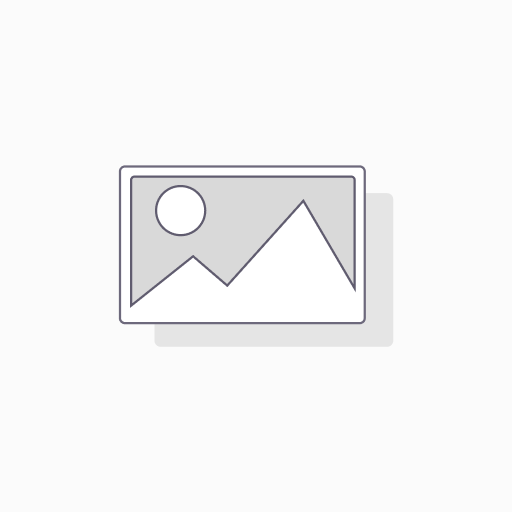 Insurance Prepaid Expenses