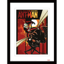 Pyramid - Ant-Man (Astonishing)