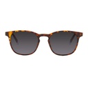 Barner Dalston Tortoise Sunglass