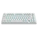 Dark Project ALU Terra Nova R2 Wireless Gaming Keyboard White (ANSI)