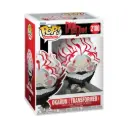 Funko Pop! Animation: Dandadan - Okarun w/chase 